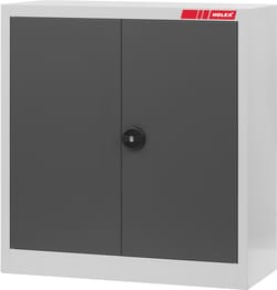 Swing door cabinet with Plain sheet metal swing doors 1000 mm